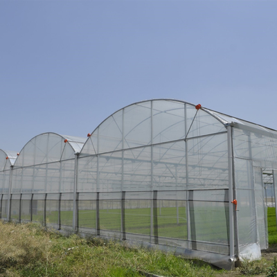 野菜のための反昆虫の純多スパンのHydroponicトンネルのプラスチック温室