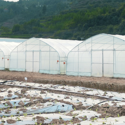 農業の耕作のための商業気候制御冷却装置の単一のトンネルの温室