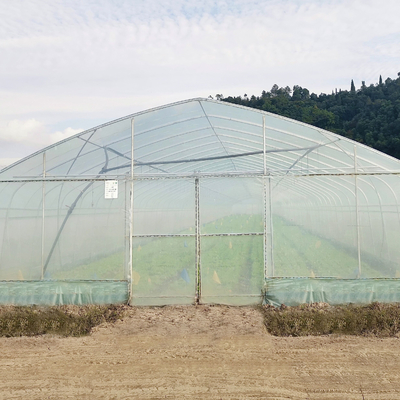 販売のためのHydroponicシステム単一スパンのプラスチック フィルムの農業の温室の構造