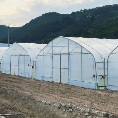 用水系統の販売のための生産的な単一スパンの温室の農業の温室
