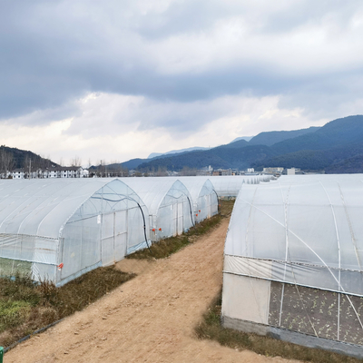 卸し売り温室の中国の工場価格の製造のSinglespanのHydroponic農業の温室