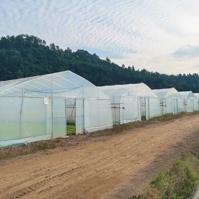 用水系統の販売のための生産的な単一スパンの温室の農業の温室