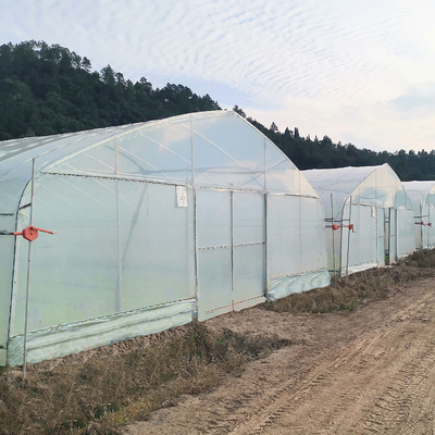 多トンネルの農業のための単層の紫外線保護されたポリエチレン プラスチック温室