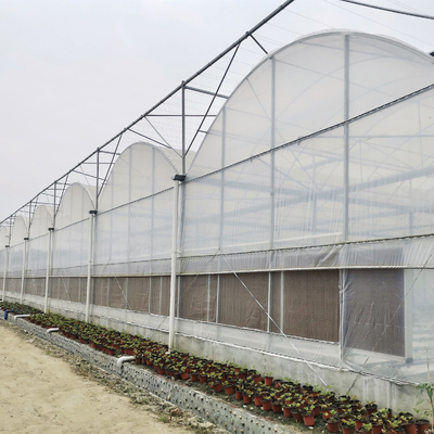大型の複数のスパンのアーチのプラスチック フィルムの温室の熱いすくいは鋼鉄プラスチック農業の温室に電流を通した