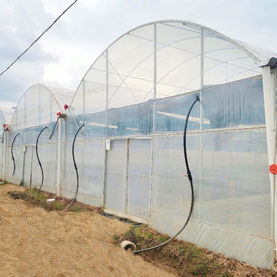 ターンキー プロジェクトは商業Hydroponicプラスチック フィルムの温室の複数のスパンの農業の温室を取付けた
