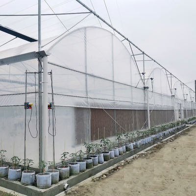 フィルムのアーチのトンネルのMultispanの大きい商業多タイプ トマトの水耕栽培の温室