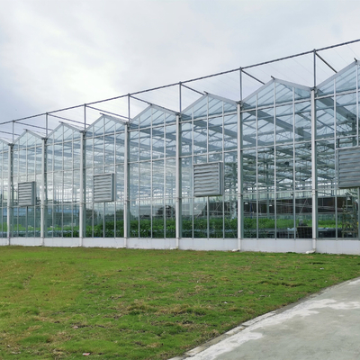 複数のスパンの農業の温室フェンローはHydroponic成長するシステムが付いているガラス温室を和らげた