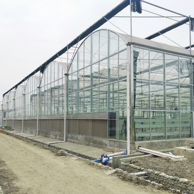 水耕栽培のトマトのきゅうりの花のフィルムのアーチの自動Multispanのガラス温室