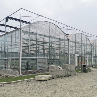 円形のトンネルの緩和されたフェンローのガラス温室の多スパンの自動水耕栽培