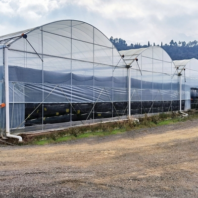転がりベンチの野菜高いトンネルの温室の鉄骨フレームの水耕栽培の大きいスパンの温室