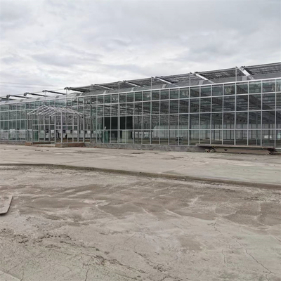 完全な野菜栽培の複数のスパンの温室のガラス繊維のガラス農業の温室
