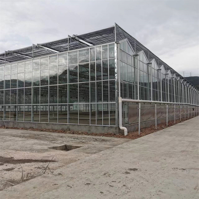 完全な野菜栽培の複数のスパンの温室のガラス繊維のガラス農業の温室