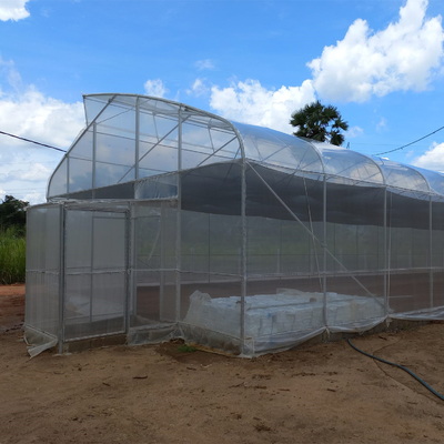 150 200ミクロンの1*2mのドアと現代商業支持できる温室の耕作