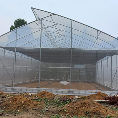 OEMのHydroponicトンネルのプラスチックに温室の電流を通す鋼鉄農場の供給の温室