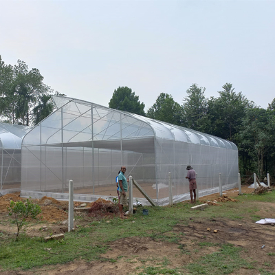 150 200ミクロンの1*2mのドアと現代商業支持できる温室の耕作