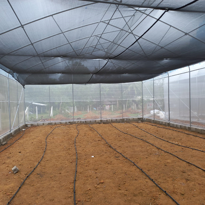 高性能の高いトンネルの鋸歯の温室農業ISO9001