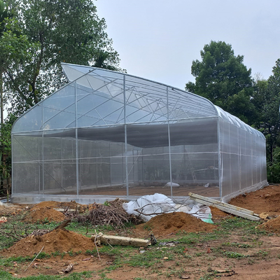 OEMのHydroponicトンネルのプラスチックに温室の電流を通す鋼鉄農場の供給の温室