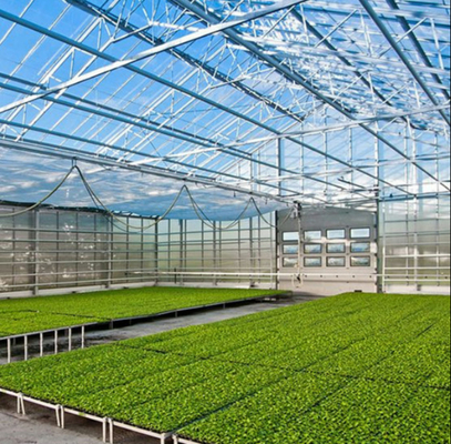 ポリカーボネットホールボード ガラス 工業用屋外多面ガラス プロフェッショナル オランダ温室 花植えのために