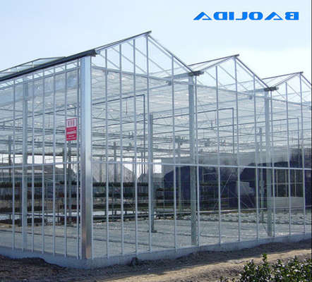 フェンローの大型のガラス温室の高く強い構造ISO9001
