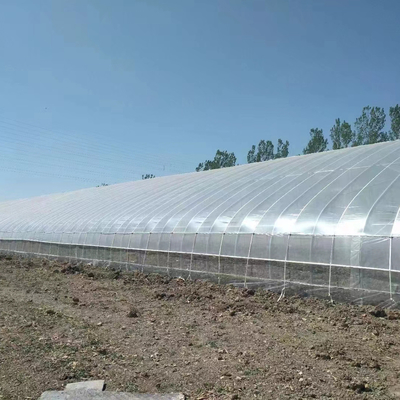 雨水の収集支援付き プラスチックフィルム 太陽熱受動温室