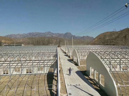 太陽光発電冷却システムを持つカスタマイズされた温度制御ポリトンネル温室