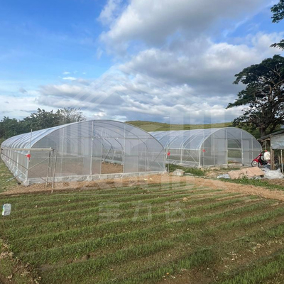 農業 植物の栽培 トンネル温室 オンライン販売 20m トンネル 単段温室