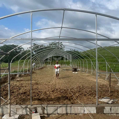 農業 植物の栽培 トンネル温室 オンライン販売 20m トンネル 単段温室