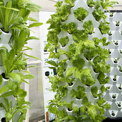 自動水作植キット 目に見える線と取り外せるバスケット
