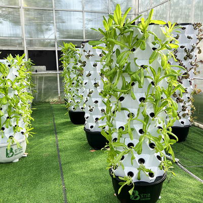 自動水作植キット 目に見える線と取り外せるバスケット