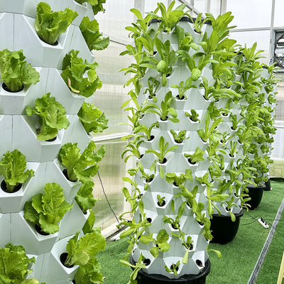 65L 12 層 96 植物穴 自動水栽培栽培システム 取れる成長塔