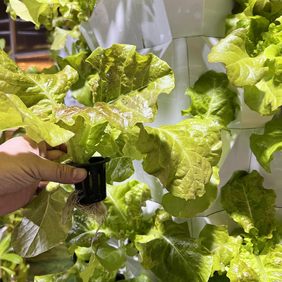 65L 12 層 96 植物穴 自動水栽培栽培システム 取れる成長塔