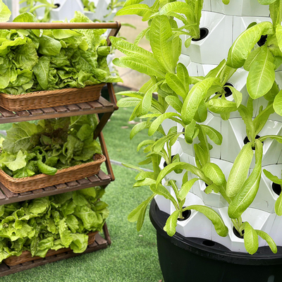 65L 14 層 112 植物の穴 層番号をカスタマイズ 48/64/80/96/112 植物の穴