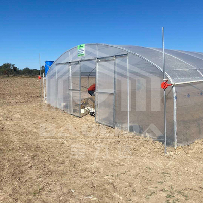 植物育成のための側面換気付きの経済的なトンネル温室