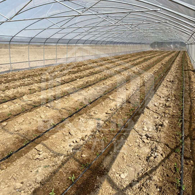 植物育成のための側面換気付きの経済的なトンネル温室