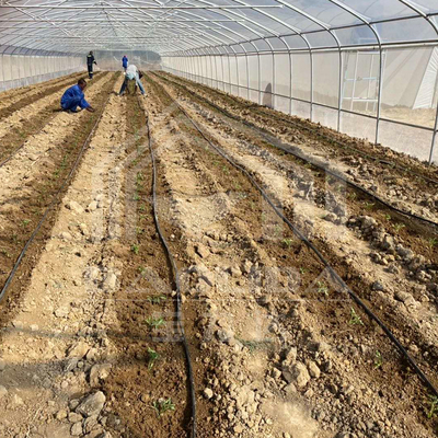 植物育成のための側面換気付きの経済的なトンネル温室