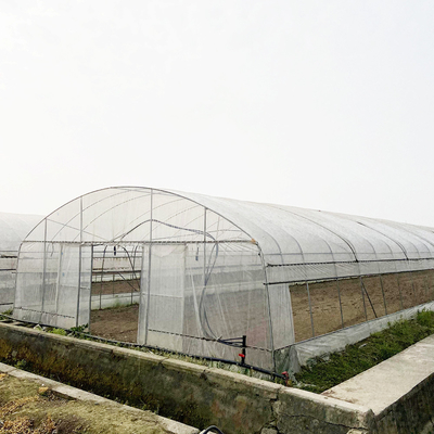 6x15m トンネル温室 花や野菜の栽培プロジェクト