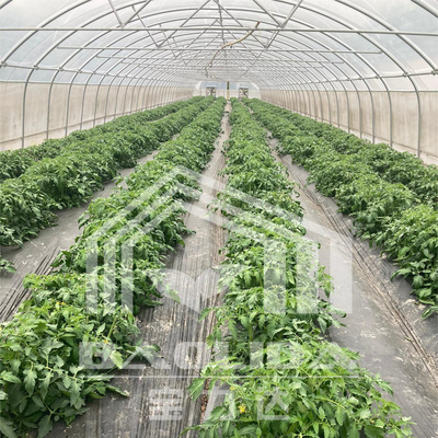 6x15m トンネル温室 花や野菜の栽培プロジェクト