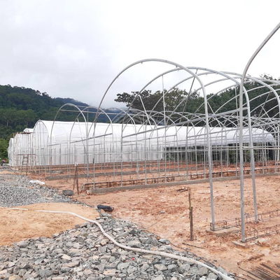農業 解決策 の ため の 実践 的 な 高トンネル 温室