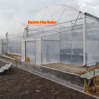 花や野菜を栽培する温室 クエンセット小屋 温室 栽培家 溝付き 大型温室 屋根換気設備