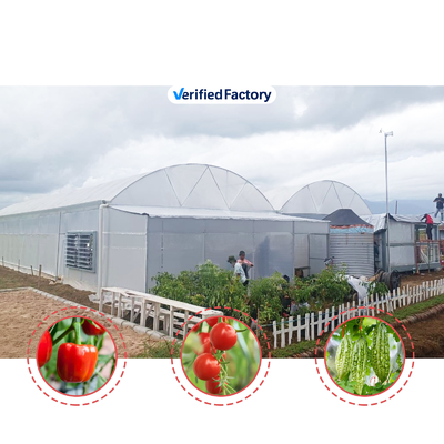 花や野菜を栽培する温室 クエンセット小屋 温室 栽培家 溝付き 大型温室 屋根換気設備
