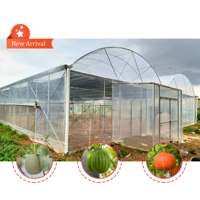 花や野菜を栽培する温室 クエンセット小屋 温室 栽培家 溝付き 大型温室 屋根換気設備