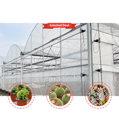 野菜栽培ソリューション 8-60m サイズ調整可能 ローリングベンチと灌輸システムを持つ農業トンネル温室