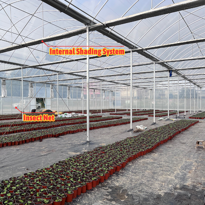 野菜栽培ソリューション 8-60m サイズ調整可能 ローリングベンチと灌輸システムを持つ農業トンネル温室