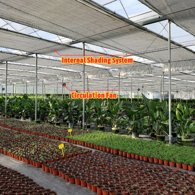 野菜栽培ソリューション 8-60m サイズ調整可能 ローリングベンチと灌輸システムを持つ農業トンネル温室