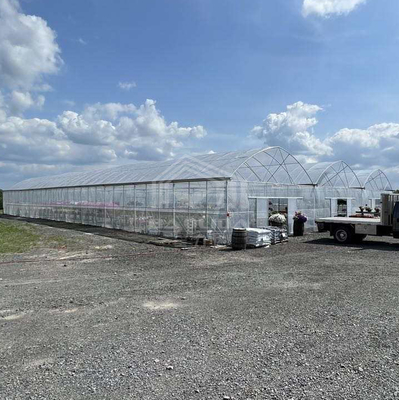 BAOLIDA 24x40m シングルスパン温室、150ミクロンPEフィルム付き