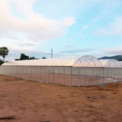 BAOLIDA 24x40m シングルスパン温室、150ミクロンPEフィルム付き