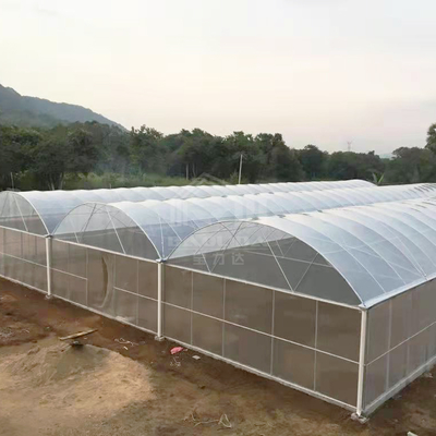 BAOLIDA 24x40m シングルスパン温室、150ミクロンPEフィルム付き