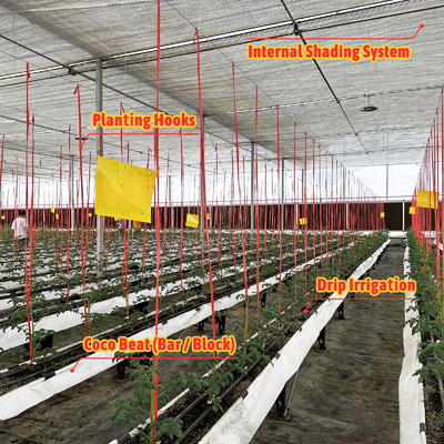 鋼鉄フレーム温室 6m-12m スパン 150/200マイクロンのPEフィルム