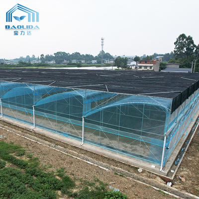 6m-12m マルチスパンPEフィルム温室キット（10年保証）