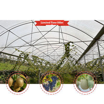 PE Film Covering Rain Shelter Greenhouse with Hot Galvanized Steel Frame and Customizable Size for Plants Cultivation